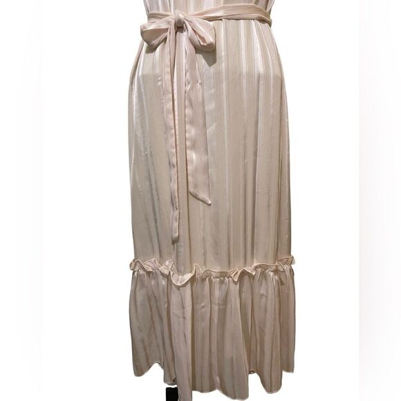 NWT Ethereal Shimmering Champagne Sheer Chiffon Tiered Maxi Dress Cottage Fairy - Picture 7 of 15